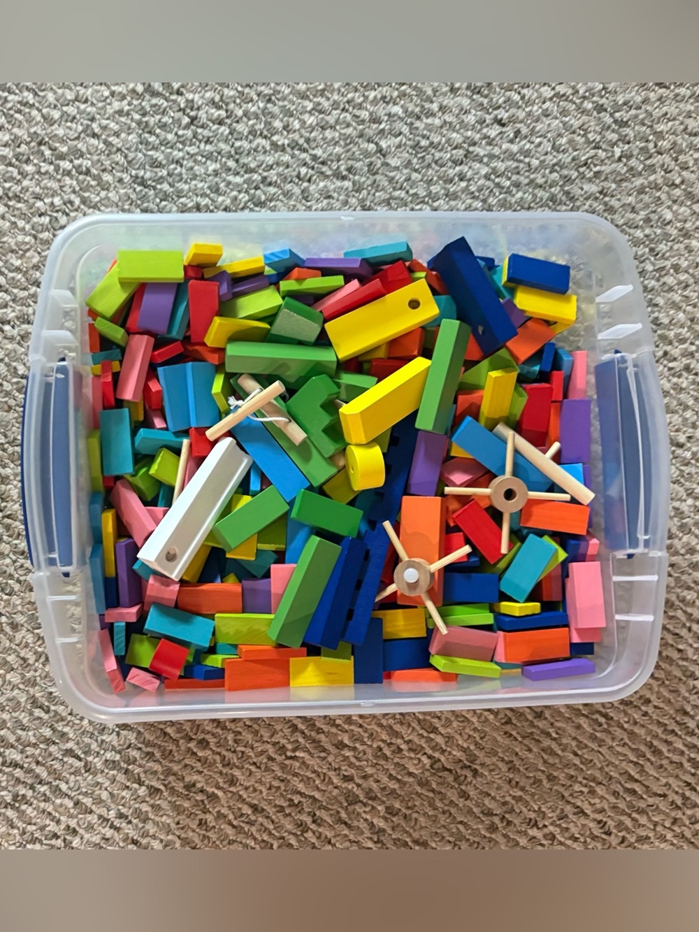 Colorful Wooden Dominos Set for Kids ~1000 pieces